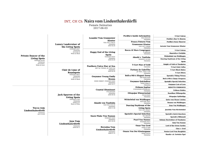 dalmotions-naira-pedigree